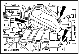 C2501019